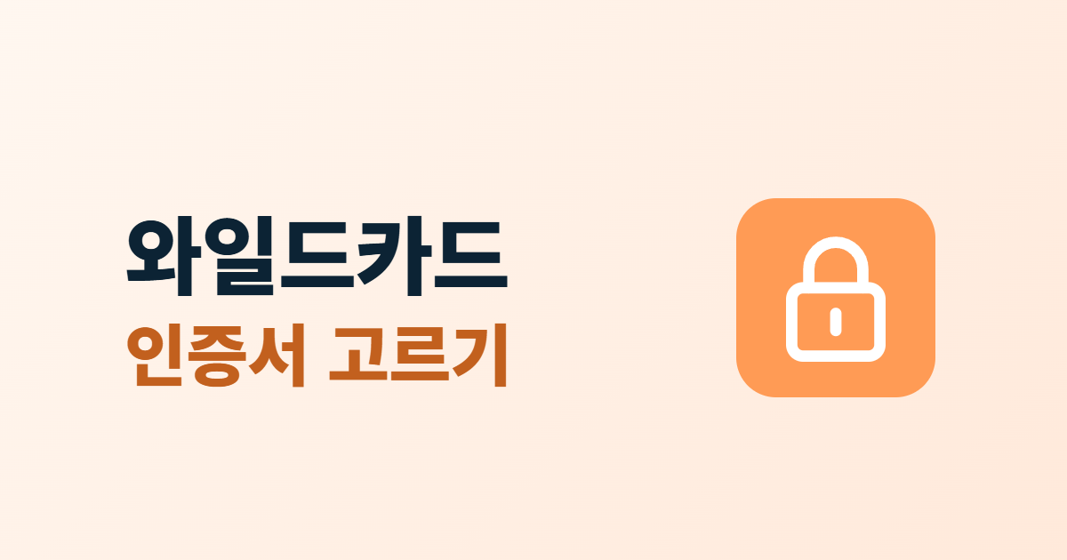 와일드카드 인증서, 서브도메인이 많을 때 고르는 기준 4가지