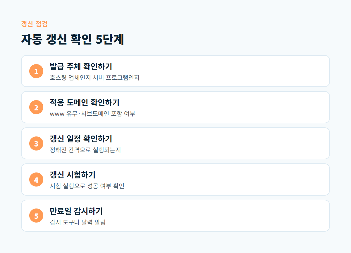 발급 주체 확인, 적용 도메인 확인, 갱신 일정 확인, 갱신 시험, 만료일 감시로 이어지는 자동 갱신 점검 5단계 도식