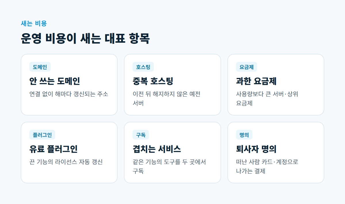 쓰지 않는 도메인, 중복 호스팅, 과한 요금제, 유료 플러그인, 겹치는 서비스, 퇴사자 명의 결제 여섯 가지를 나눈 카드