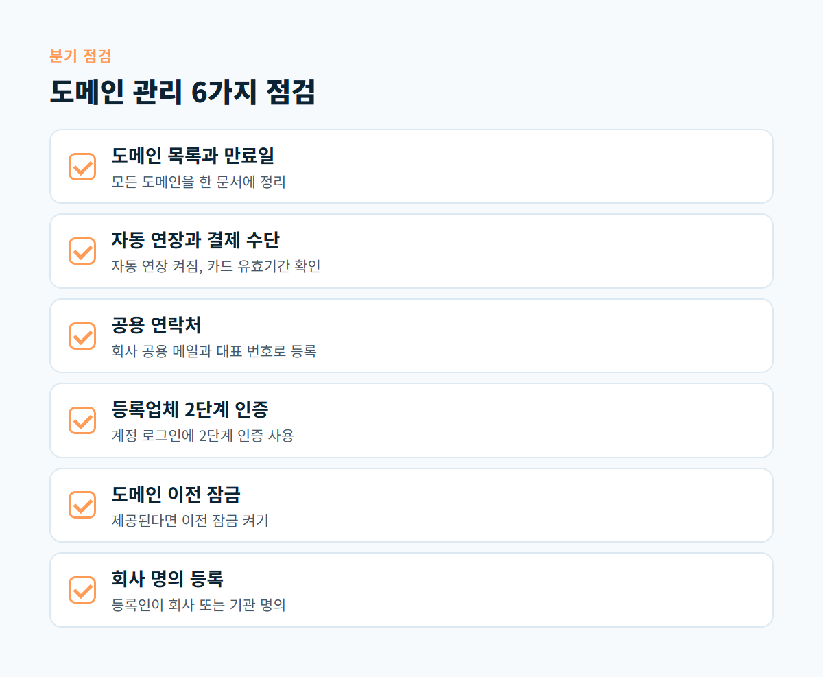 도메인 목록과 만료일, 자동 연장과 결제 수단, 공용 연락처, 2단계 인증, 이전 잠금, 회사 명의 등 도메인 관리 점검 항목 6가지 체크리스트
