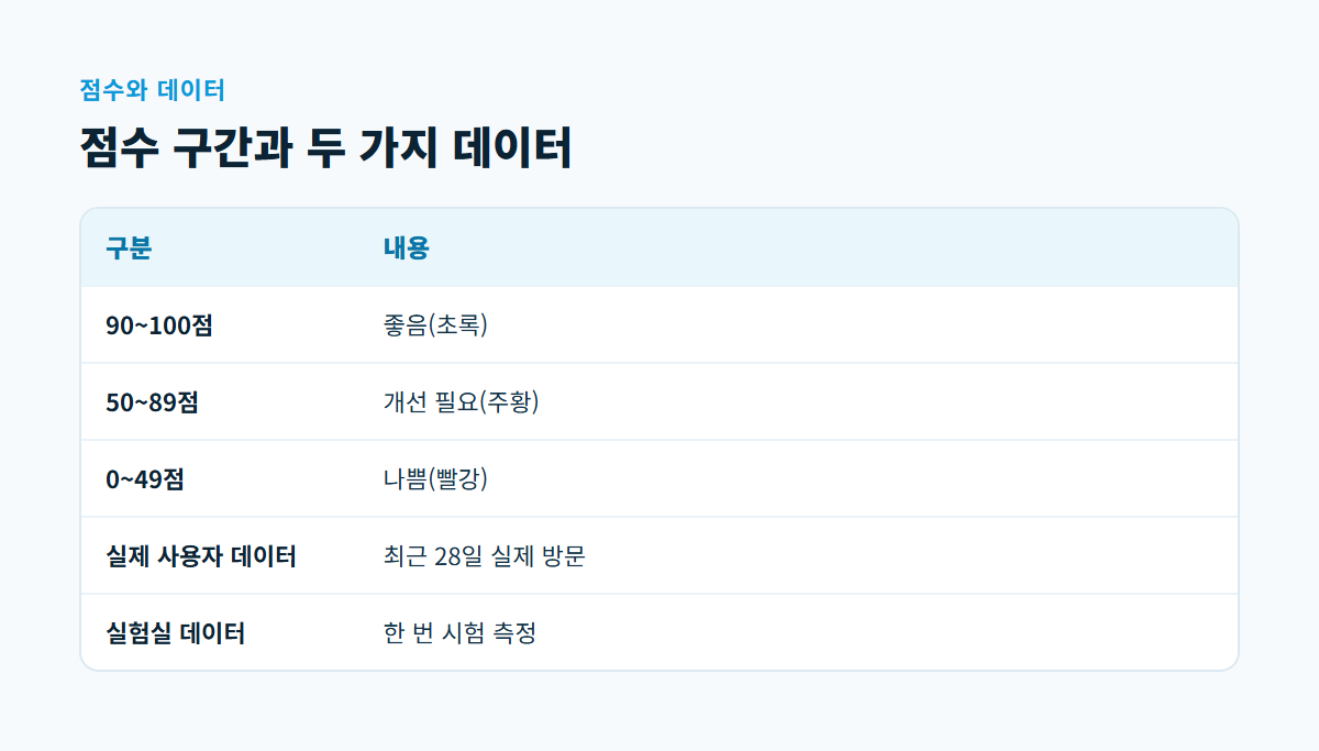 성능 점수 90~100점 좋음, 50~89점 개선 필요, 0~49점 나쁨 구간과 실제 사용자 데이터·실험실 데이터의 차이를 정리한 비교표