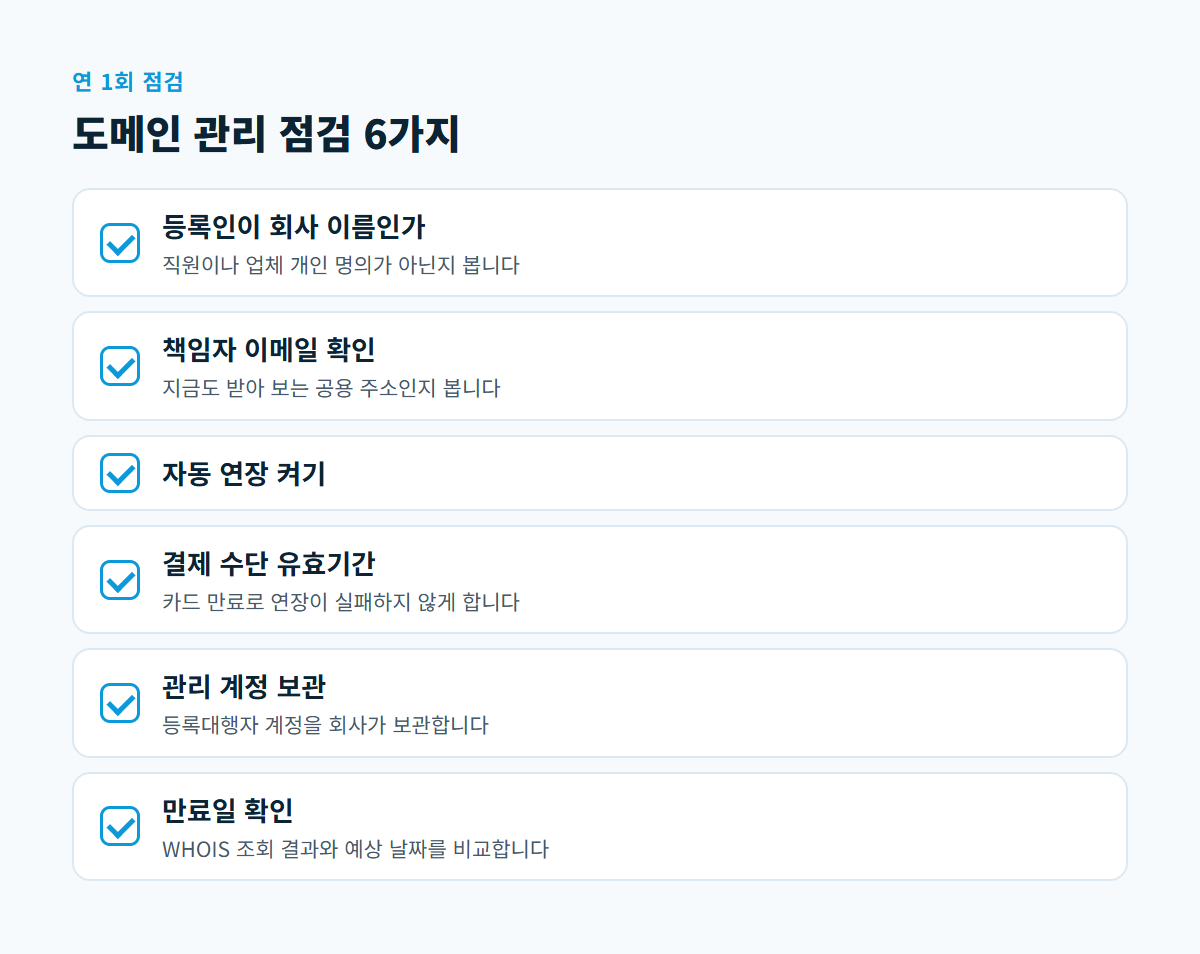 등록인 명의, 책임자 이메일, 자동 연장, 결제 수단, 관리 계정, 만료일 여섯 가지 도메인 점검 항목을 정리한 체크리스트 카드