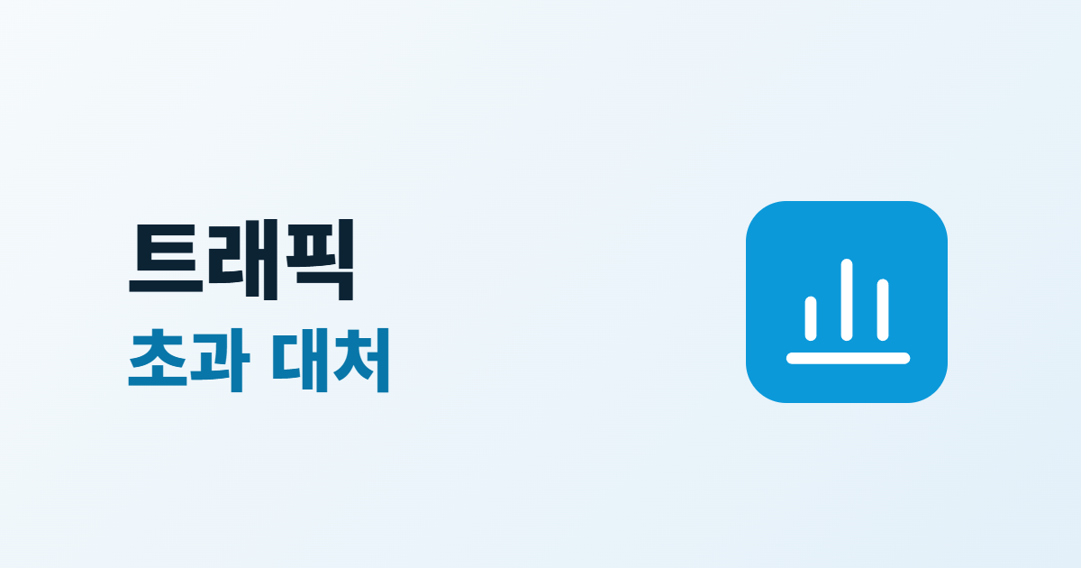 홈페이지 트래픽 뜻과 계산법, 초과될 때 확인할 5가지
