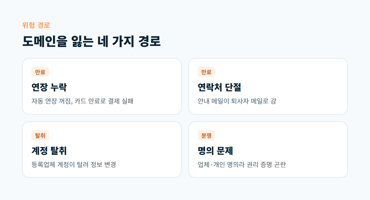 연장 누락, 연락처 단절, 계정 탈취, 명의 문제 등 도메인을 잃는 네 가지 경로를 카드로 정리한 그림